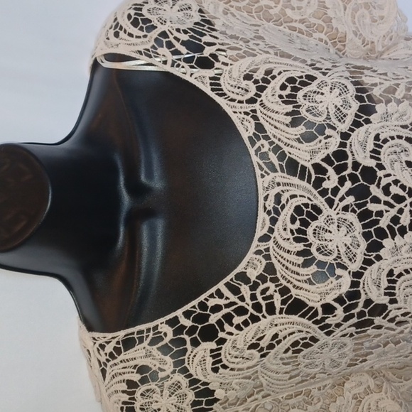 Say What? Beautiful Lace Cropped Top, 21" pit to pit,  18" long - Picture 2 of 7